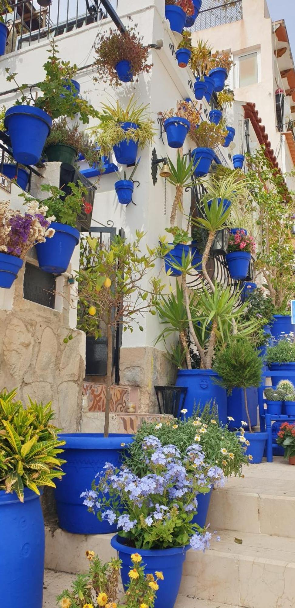 El Barrio , Playa Y Casco Antiguo Appartement Alicante